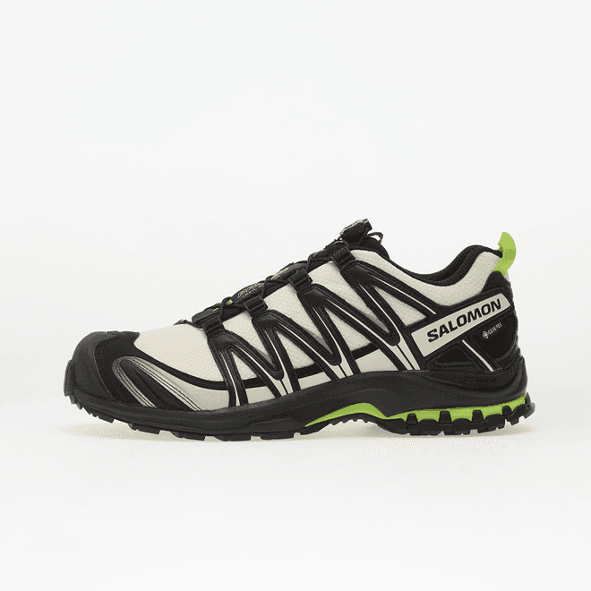 Salomon Xa Pro 3D GTX Vanila