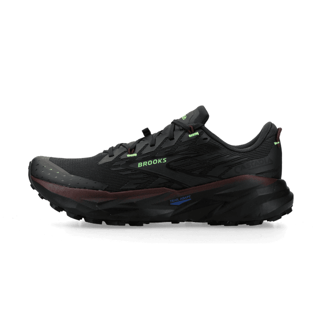 Brooks Cascadia 19 phantom